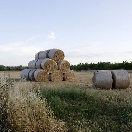 奥利吉欧Agrimat Salento Sas别墅 外观 照片