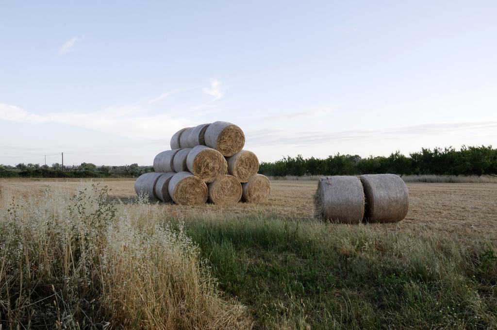 奥利吉欧Agrimat Salento Sas别墅 外观 照片