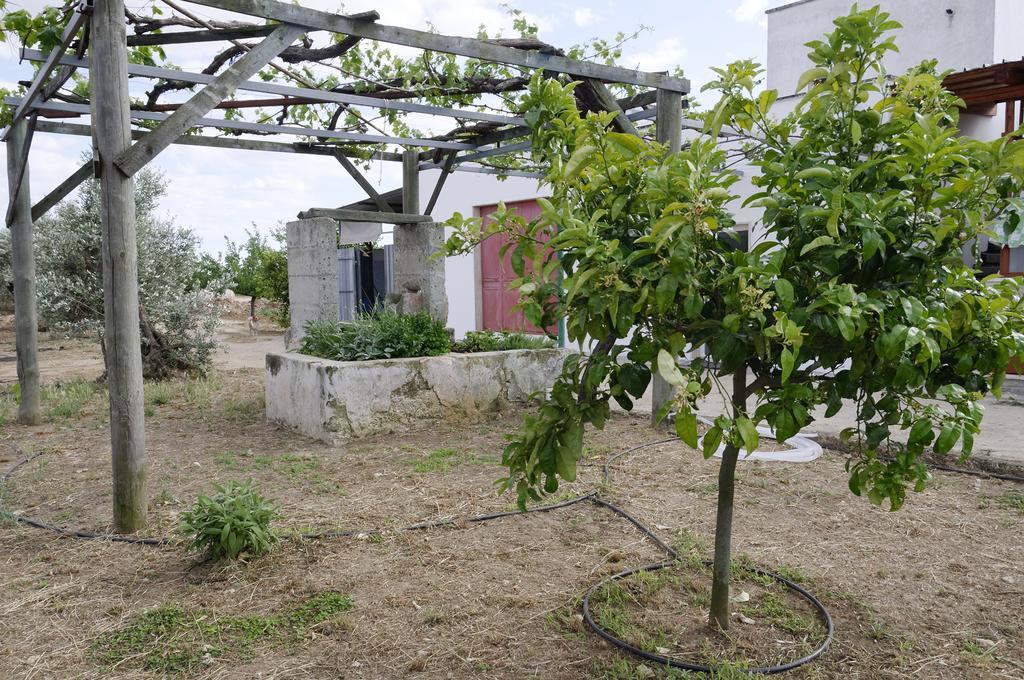 奥利吉欧Agrimat Salento Sas别墅 外观 照片